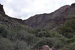photo thumbnail #12