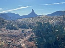 photo thumbnail #7