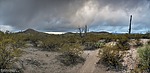 photo thumbnail #1