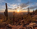 photo thumbnail #15
