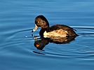 photo thumbnail #3