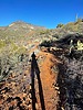 photo thumbnail #10