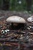 photo thumbnail #4