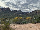 photo thumbnail #7