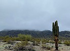 photo thumbnail #1