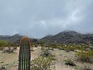 photo thumbnail #2