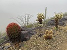 photo thumbnail #5