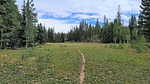 photo thumbnail #5