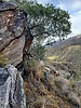 photo thumbnail #13