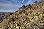 photo thumbnail #9