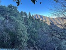photo thumbnail #14