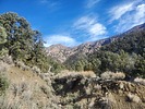 photo thumbnail #15