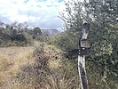 photo thumbnail #5