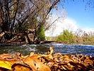 photo thumbnail #12