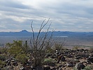 photo thumbnail #14