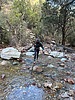 photo thumbnail #5
