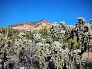 photo thumbnail #5
