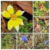 photo thumbnail #15