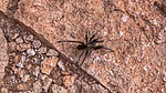 photo thumbnail #9
