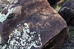 photo thumbnail #11