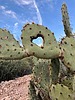 photo thumbnail #13