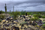 photo thumbnail #12