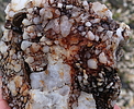 photo thumbnail #14