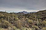 photo thumbnail #5
