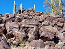 photo thumbnail #5
