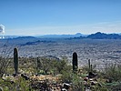 photo thumbnail #15
