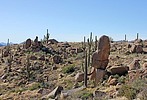 photo thumbnail #14