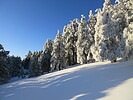 photo thumbnail #14