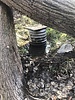 photo thumbnail #1
