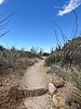 photo thumbnail #6