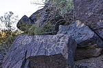 photo thumbnail #6