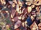 photo thumbnail #8
