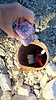 photo thumbnail #7