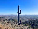 photo thumbnail #7