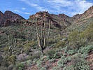 photo thumbnail #5