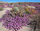 photo thumbnail #14