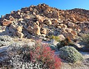 photo thumbnail #5