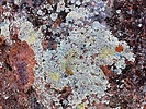 photo thumbnail #11