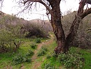 photo thumbnail #7