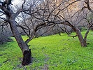 photo thumbnail #11