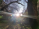 photo thumbnail #13