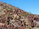 photo thumbnail #4