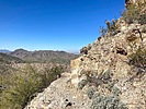 photo thumbnail #2
