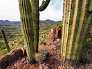 photo thumbnail #15