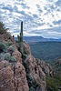 photo thumbnail #10