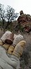 photo thumbnail #7